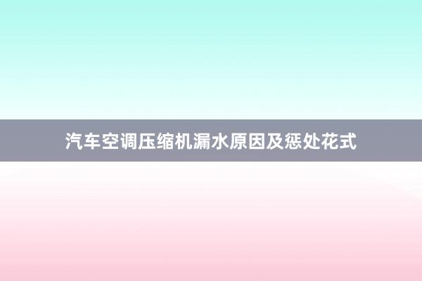 汽车空调压缩机漏水原因及惩处花式